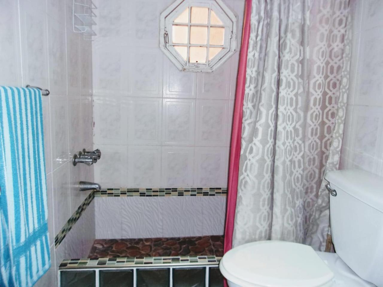 Central Oaklands Kingston Apt Buitenkant foto